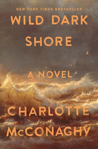 Wild Dark Shore by Charlotte McConaghy — book cover